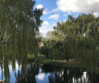 King Room with Balcony