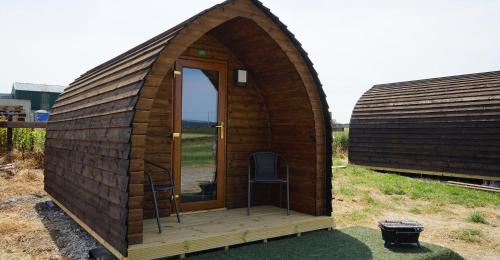 Willow (Non-Dog friendly)