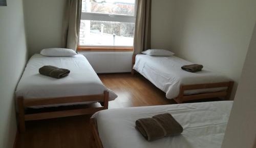 Bed in 4-Bed Mixed Dormitory Room