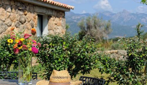 Apartment with Mountain View