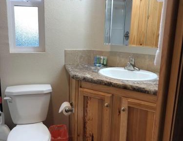 Resort Cabin - No Pets