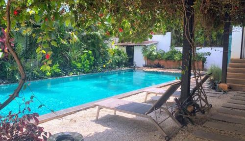 SantaTerra-Cool Green Studio apt in Reis Magos