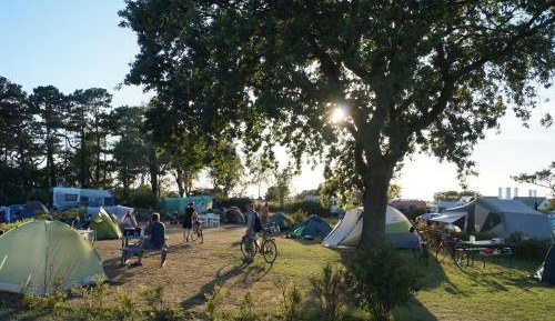 Basic Tent site incl. electricity (bring your own tent 8-25 kwm)