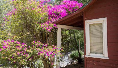 Historic Private Cabin