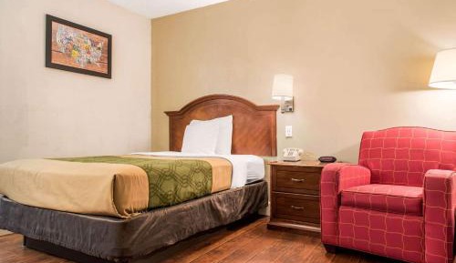 Room with One Double Bed- Non-Smoking 