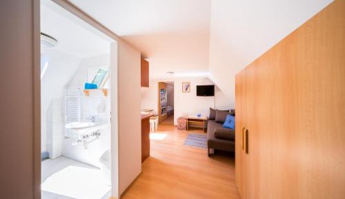 Apartment with Shower