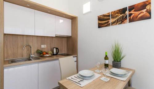 Studio with Terrace