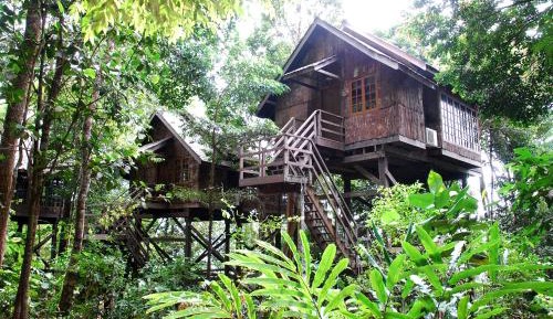 Classic Tree House
