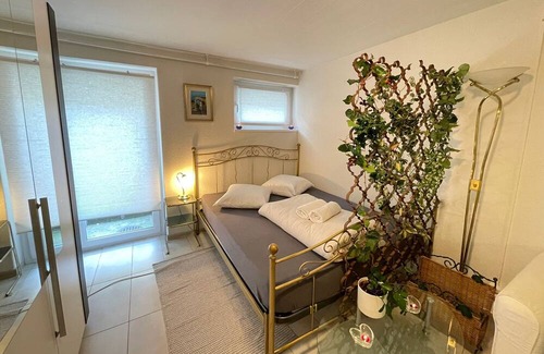 Basel City Centre Condo | Cozy Place Whit Fast Wifi 3 min From Rhine