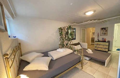 Basel City Centre Condo | Cozy Place Whit Fast Wifi 3 min From Rhine