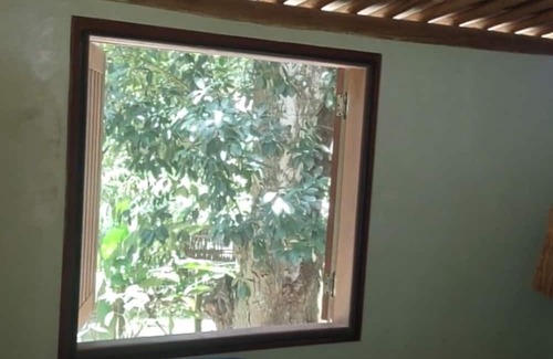 Santa Cruz Cabralia House | House with swimming pool in the middle of nature, surrounded by trees and sea views!