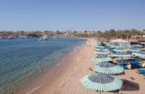 Ras Nasrani House | Guesthouse 4 in sharm El sheikh directly on the pool and sea view