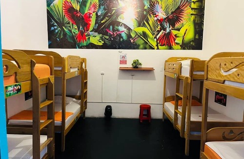 Iquitos Bed & Breakfast | AT Amazon Backpacker