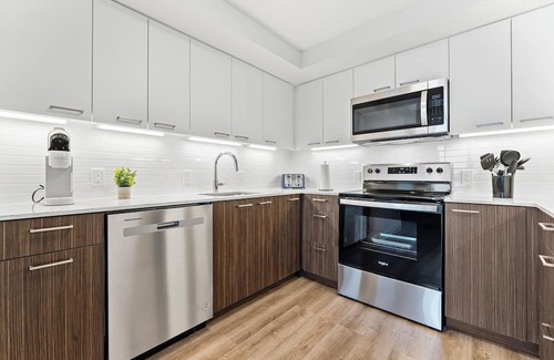 Lower Allston Apartment | Luxury 2bd/2ba near Harvard 1094