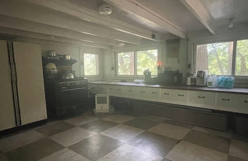 Greene Cottage | Rustic cottage surrounded by trees, overlooking a creek.