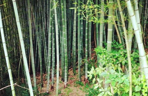 Kibichuo House | Weekdays only Private rental of a traditional Ja / Kagagun Okayama