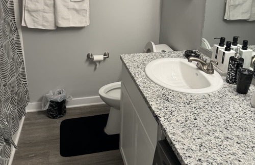 Raleigh Apartment | 5 Minutes from Crabtree valley mall and wake med