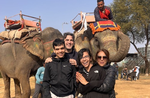 Pink City House | Room 1 - You can spend time with elephants by going close them