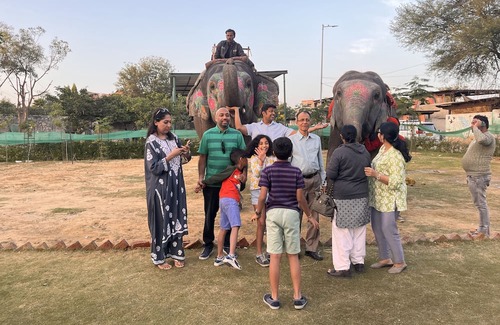 Pink City House | Room 1 - You can spend time with elephants by going close them