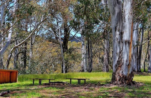 Adaminaby Cabin | Your gateway to an unforgettable holiday experience in the stunning Snowy Mountains!