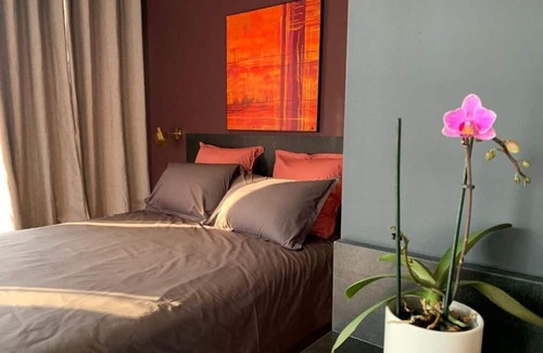 Vieille-Toulouse Apartment | Studio Avec Vue sur Jardin