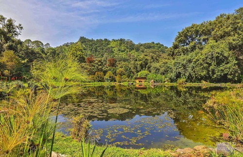Valle de Bravo Cabin | NEW! Private Lake Wood Cabin, 20-acre Ranch, BBQ