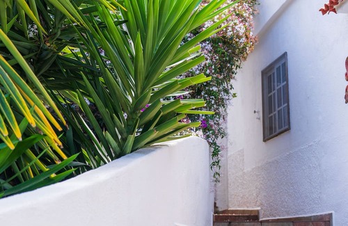 Cueva del Viento Cottage | Teide Eco Harmony