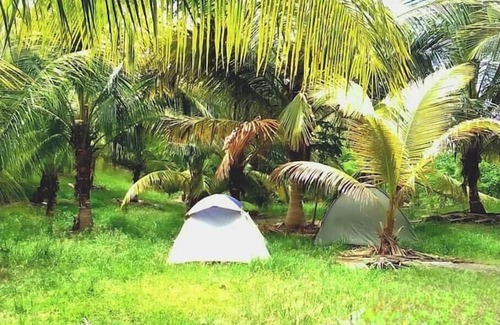 Newcastle RV Rental | Camping Barbados - Activity Stay