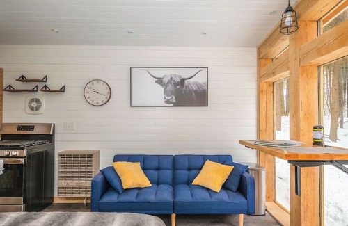 Jay House | Forest Bathing: Off-Grid Tiny Home, Pond w/Kayak