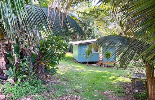 Kealakekua Cabin | Cute Cabin for Two Surrounded by Nature for a Peaceful Getaway in Kealakekua, Hawaii