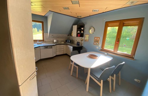 Bad Rippoldsau-Schapbach Apartment | Apartment 'Ferienwohnung 3' with Mountain View, Shared Garden and Wi-Fi