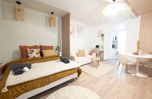 Romilly-sur-Seine Apartment | Magnificent renovated Studio downtown 3pers wifi
