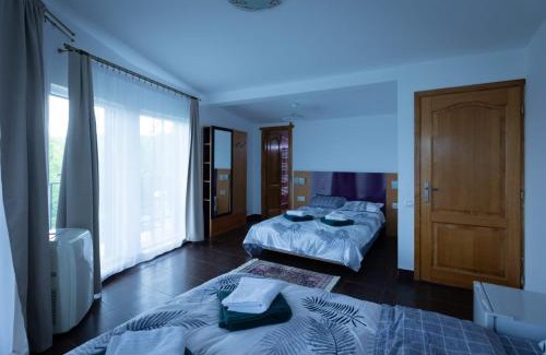 Vulcan House | Casa Mihai Vulcan