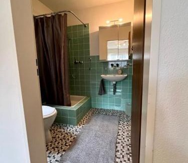 Oberlunkhofen House | Helles Zimmer mit eigener Dusche WC