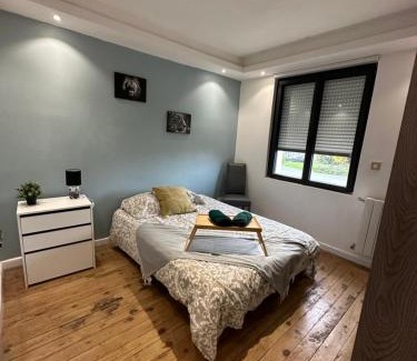 Maisdon-sur-Sevre Apartment | Spa relaxing