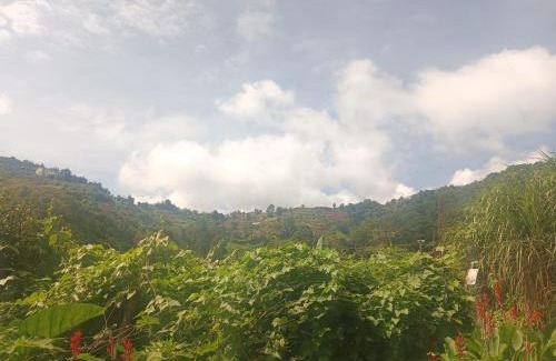 Baguio Cabin | Torogi Thrift Transient House