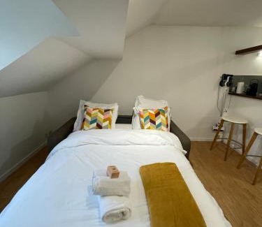 Decre-Cathedrale Apartment | La suite Saint-Léonard hyper centre Nantes WIFI