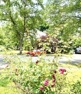 Naperville House | B2 A private room in Naperville downtown with desk and Wi-Fi near everything