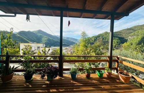 Corovode Apartment | Guri's Home