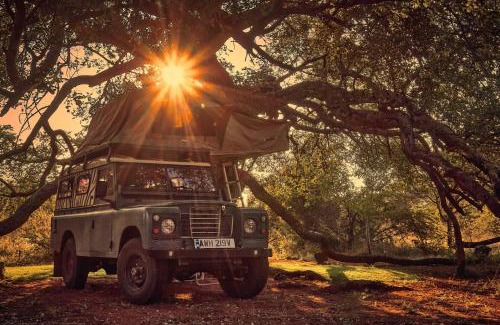Tsumeb Other | ZuriCamp - Campsite Halishi