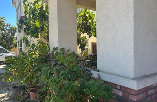 San Bernardino County House | Comfort vacancy