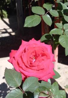 Namibia Other | Mukuku Rest Camp