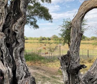 Namibia Other | Mukuku Rest Camp