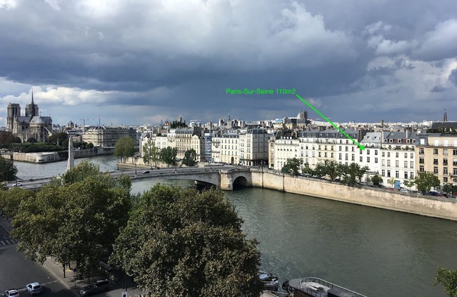 Paris-sur-seine-chez-caroline