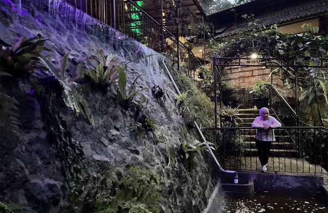 The Pinewood Lodge & Organic Farm