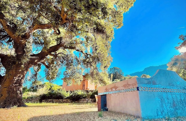 Casita de Adobe: Escape to the Sierra and Disconnect