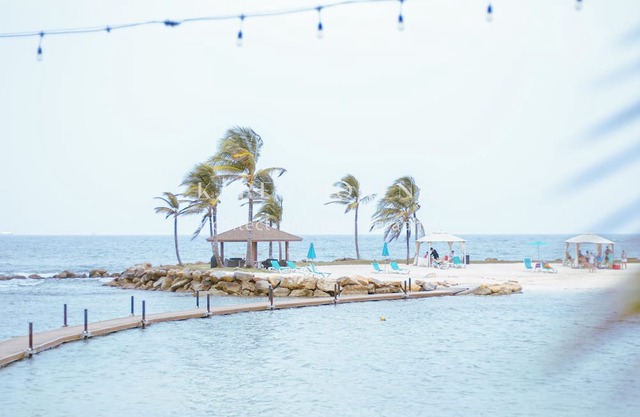 Unmatched Ocean View & Designer Finishes: Your Stylish Escape Awaits!