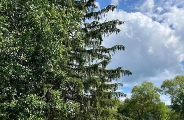 The Fireside: Wide-Open Spaces + Modern Amenities