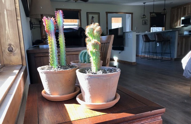 Front Range Country Haus