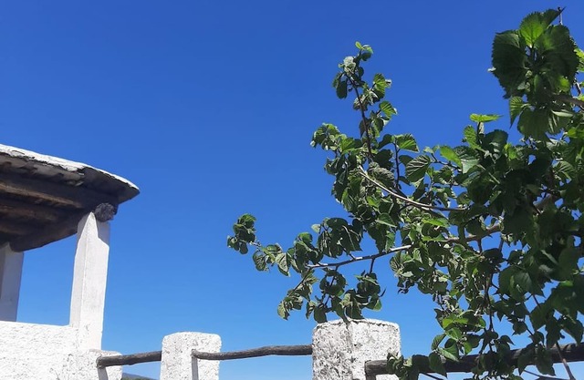 Cottage With Incredible Views In The Alpujarras